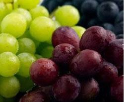 Grapes, Packaging Type : Carate