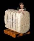Raw Cotton Bales