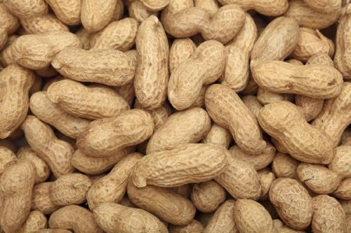 Organic Shelled Peanuts, For Making Flour, Making Oil, Feature : Excellent Source Of Nutrients, Good For Health