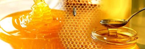 Natural Honey, For Personal, Clinical, Taste : Sweet