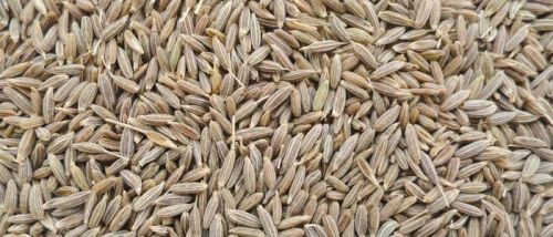 Cumin Seeds, For Cooking, Style : Dried