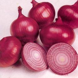 Organic Fresh Red Onion, For Cooking
