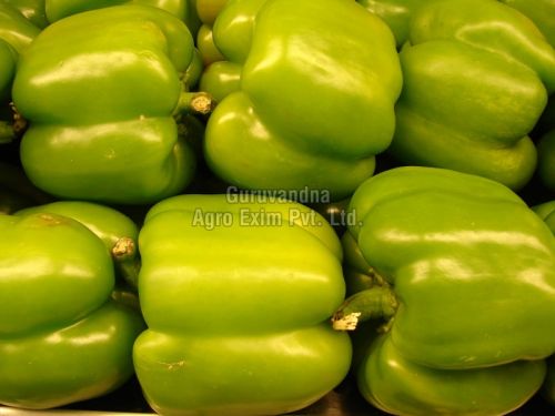 Oval Fresh Green Capsicum, For Cooking, Style : Natural