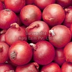 Oval Organic Fresh Red Onion, For Human Consumption, Style : Natural