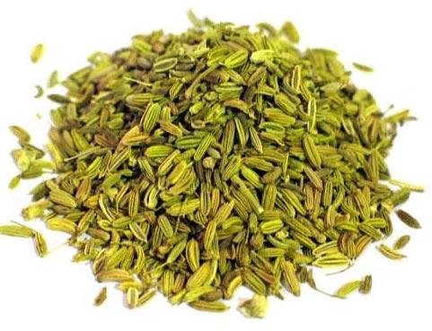 Fennel, Cultivation Type : Natural