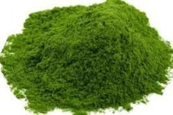 Coriander powder Form : Powder