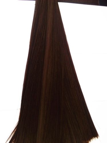 Catgut Suture Materials