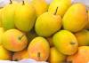 Alphonso Mangoes