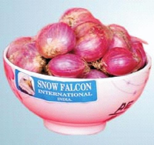 Organic Red Onion, For Cooking, Packaging Size : 10g, 20kg, 50kg, 5kg