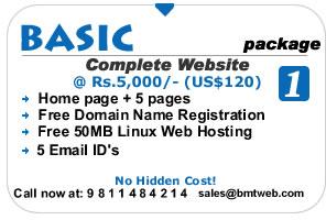 Website Hosting, Website Designing