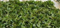 Dried Fenugreek Leaves