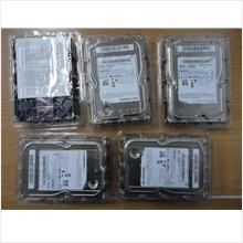 SATA Hard Disk, Brand Name : Samsung