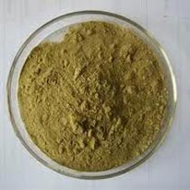 Andrographis Paniculata Powder & Extracts
