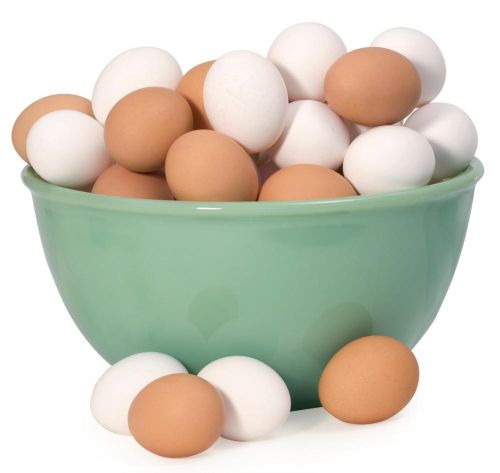 Fresh Brown Eggs, Brand Name : Adura