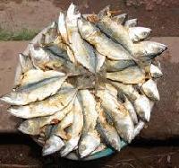 Dry Fish