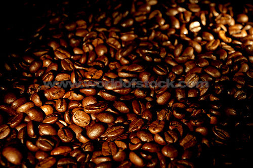 Robusta coffee beans, Shelf Life : 6-12 Months