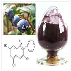 Bilberry Extract, Brand Name : huir, Packaging Type : Purple-red