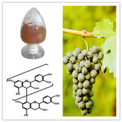 Grape Seed Extract, Brand Name : huir, Packaging Type : red brown