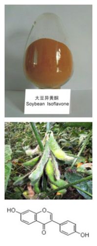 Soybean Extract, Brand Name : huir, Packaging Type : Brown
