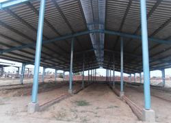 Dairy Farm Sheds