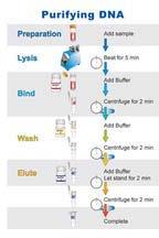 DNA & RNA Extraction Kit, For Clinical Use, Hospital Use, Packaging Size : 100 Test Or 300test