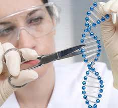 Restriction Enzymes