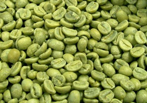 Green Coffee Bean Extract, Brand Name : Nobe