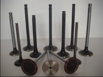 Intake Valve, Exhaust Valve, Brand Name : Topu1