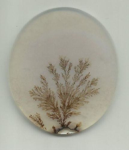 Dendrite Agate