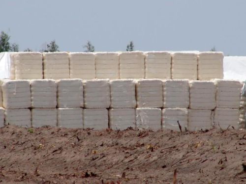 Cotton bales, Purity : 100%