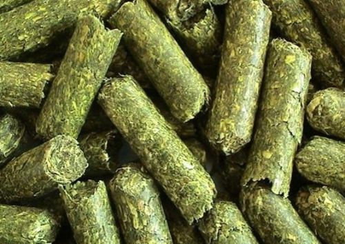 Best Price Alfalfa Pellets, Moisture : 13%