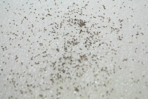 High Purity Of Brown Fused Alumina For Sand Blasting