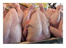 Frozen Whole Chicken, Application : Household, Mess, Hotel
