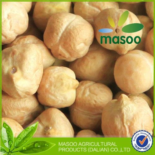 Dried Beans Chickpeas