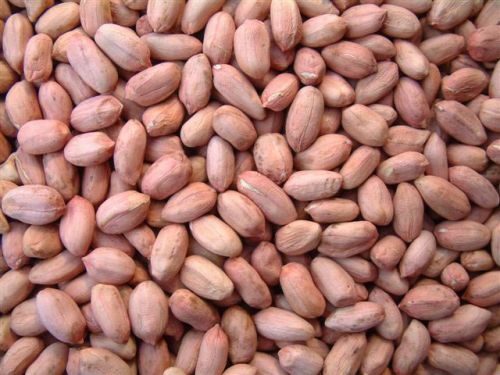 Peanut Kernels
