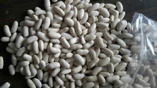 White kidney beans, Material : Beans