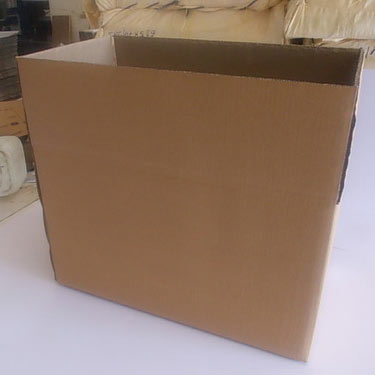 Printed Master Cartons