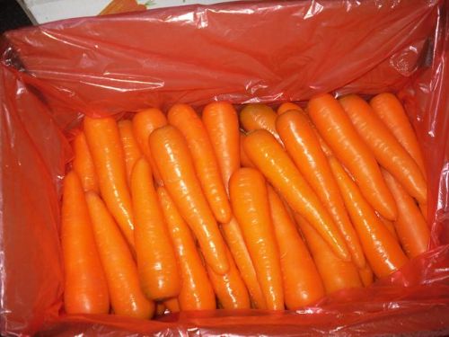 Fresh carrot, Packaging Type : Orange