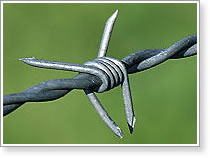 Barbed Wire, Length : 100 Feet