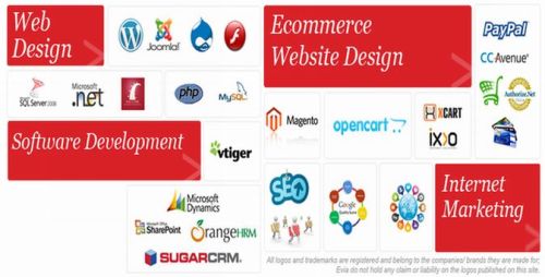 Ecommerce Website Designing Services