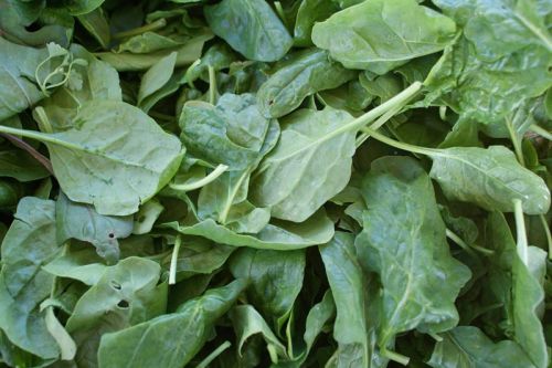 Fresh Spinach