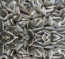 Sunflower Seeds