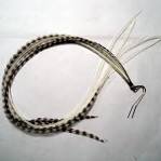 Grizzly Rooster Feathers