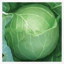 Fresh Cabbages