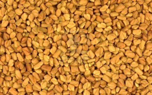 Fenugreek Seeds