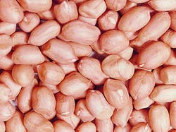 Peanuts (groundnuts)