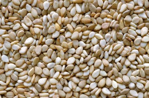 White Sesame Seed