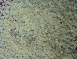 Guar Gum Reined Splits