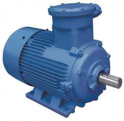 Three phase electric motor