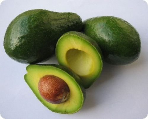 Fresh avocado, Shape : Oval